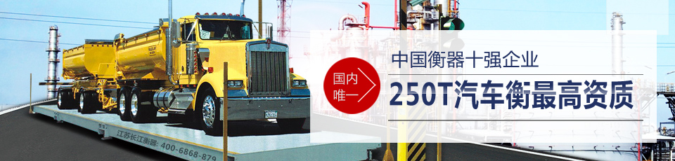 中國(guó)衡器十強(qiáng)企業(yè)